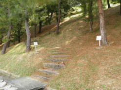 hiking trail in the park