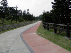 walkways in the garden