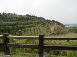 hilltop view