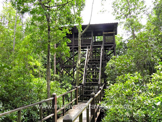 Tanjung Piai Johor National Park - The Southern Most Tip 