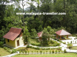 BBQ Pits and Campsite at Templer Park BBQ Pits and Campsite at Templer Park