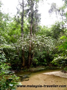 A nice day out. A nice day out.