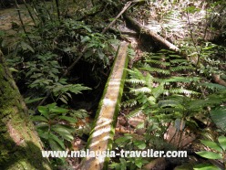 narrow bridge across stream narrow bridge across stream