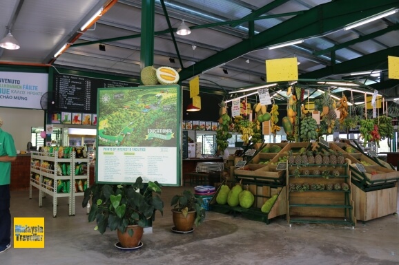 top-penang-attractions-tropical-fruit-farm top-penang-attractions-tropical-fruit-farm