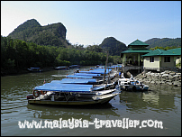 Mangrove River Cruise