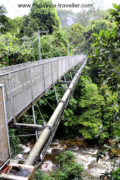 Tree Top Walk Sungai Sedim Kulim Kedah