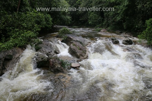 Tree Top Walk Sungai Sedim, Kulim, Kedah