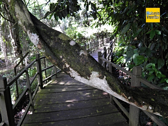 Path outside the Wind Cave