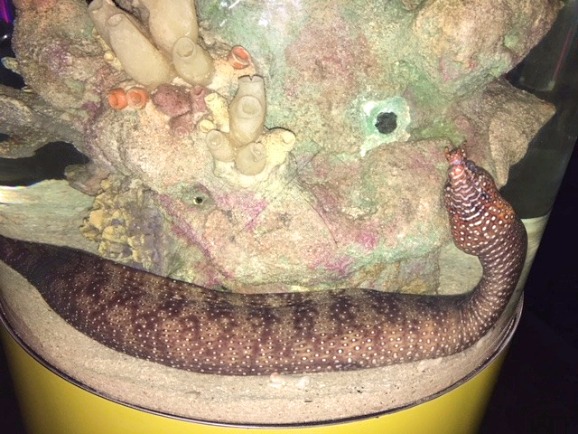 Aquaria Kuala Lumpur Aquaria Kuala Lumpur