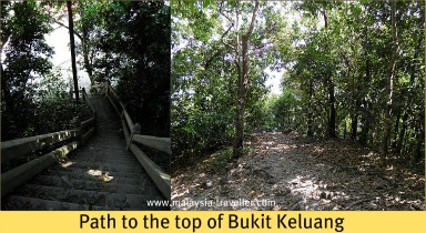 Path to the top of Bukit Keluang Path to the top of Bukit Keluang