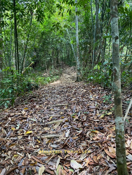 strips of bamboo are used to make steps near the summit