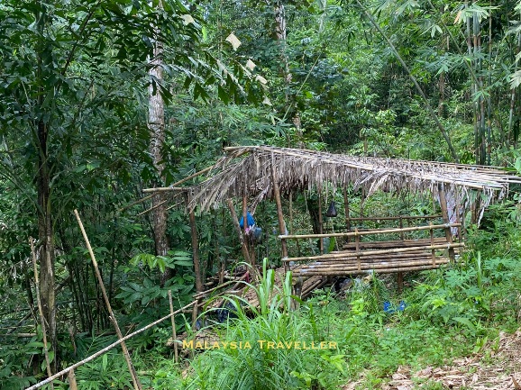 bamboo hut with a palm frond roof