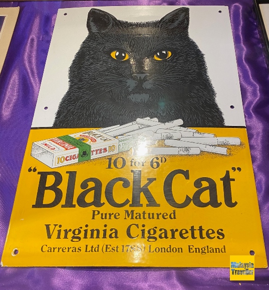 cat images used in advertising