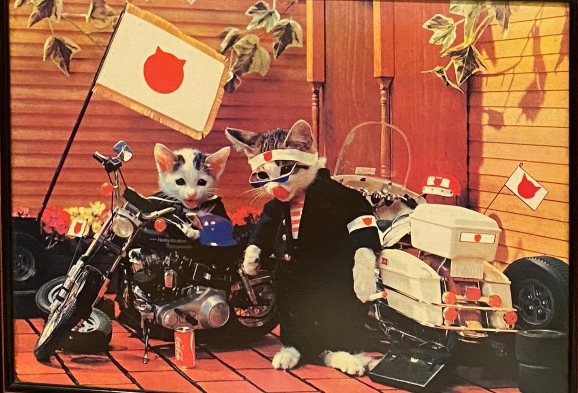 cat bikers in TV commercials in Japan