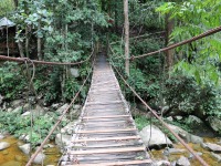 Malaysian National Parks Gunung Stong State Park