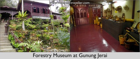 Forestry Museum at Gunung Jerai Forestry Museum at Gunung Jerai
