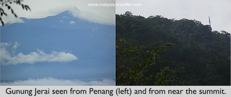 Jerai height gunung Orchids de