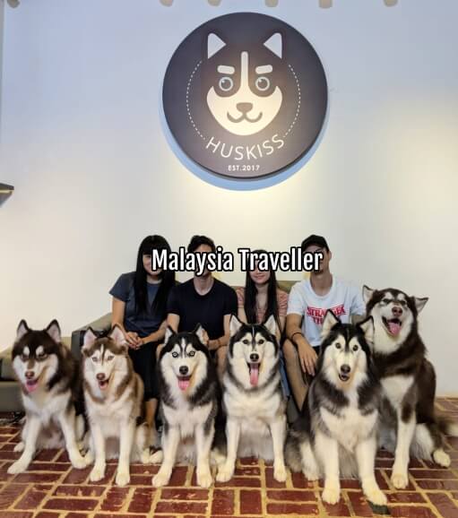 Huskiss Dog Lovers Delight In Kelana Jaya Petaling Jaya
