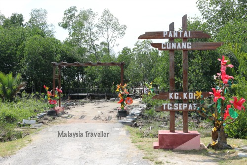 Tanjung sepat