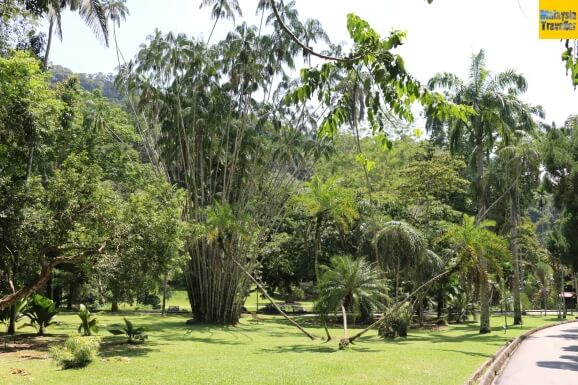 Penang Botanic Gardens