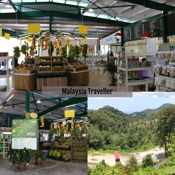 Penang Tropical Fruit Farm
