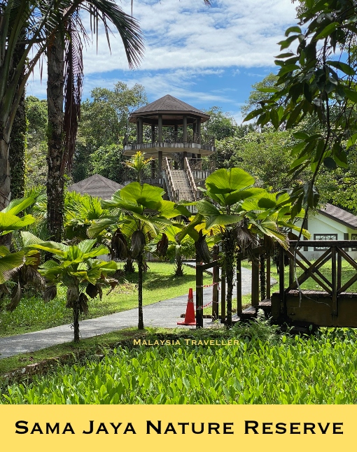 the viewing tower the viewing tower