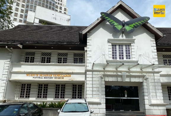 brooke birdwing butterfly hanging above museum entrancestatue 