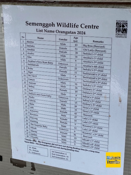 list of orangutans at Semenggoh