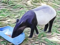 Malaysian National Parks Sungai Dusun Wildlife Conservation Centre