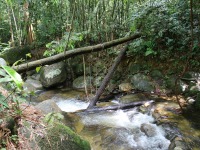 Malaysian National Parks Sungai Sendat