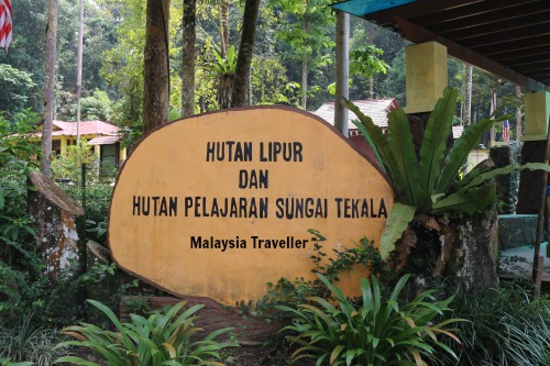 Sungai Tekala Recreational Forest