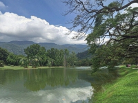 Malaysian National Parks Taiping Lake Gardens