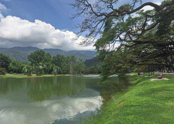 Taiping Lake Gardens