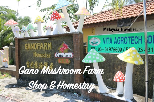 Gano Mushroom Farm Gano Mushroom Farm
