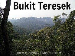 View from Bukit Teresek, Taman Negara