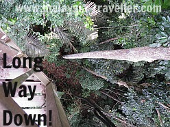 Canopy Walk at Taman Negara