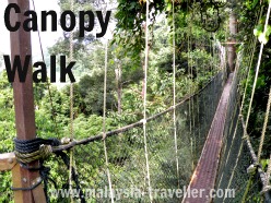 Canopy Walk at Taman Negara